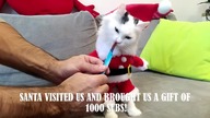 Special for 1000 SUBS  SANTA is Coming! 