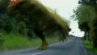 11.  Power Rangers Dino Grzmot - Biały Grom Cz. 1