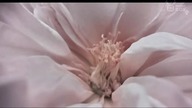 Music Box Polska - Fragment emisji (26. 12. 2023, 10:52-11:00)