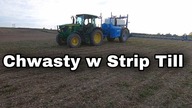 Kukurydza w ST - zwalczamy chwasty/ John Deere & Agrio Napa/ Kula