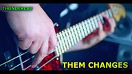 Wojtek Bass Cover - Thundercat / Them Changes (PSZEZTER STUDIO)