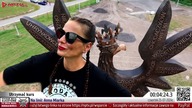 Utrzymać kurs (24.07.2024)