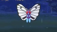 Łapanie butterfree