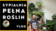 Urządzam sypialnię pełną roślin