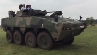Rosomak w Stefanowie 2017
