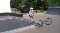 Determinacja