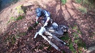 AVE ENDURO \../