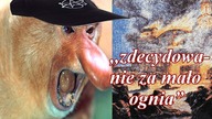 Spalimy ich na stosie    Czyli miłość do bliźniego wojujących ateistów i antyklerykałów