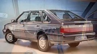FSO Polonez - katowanie