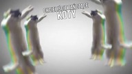 Tanczonce Koty 1h Rozgrywki :D