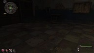 S. T. A. L. K. E. R. :Biały Oddział#5-Polowanie na Bagnach