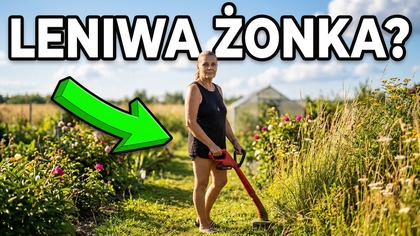 591.  Czemu Ta Leniwa Żonka Nie Kosi Ogrodu 