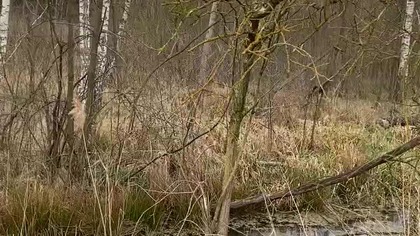 Czas jest krótki (...)...A ci którzy używają tego świata, żeby nie nadużywali. Przemija bowiem kształt tego świata 1 Kor 7, 29.31
Zapraszam do kontaktu: zibinoe@gmail.com i wsparcia dzieła duchowego żarliwą modlitwą i dobrym komentarzem jak również subskrypcją, lajkiem czy udostępnianiem oraz finansowo: Nr konta 20 1160 2202 0000 0002 7002 2642