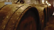 11.  Wino