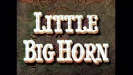 Bitwa pod Little Big Horn 1951 lektor