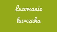 LUZOWANIE KURCZAKA, Jak luzować kurczaka? | Magdalenkowe Frykasy