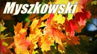 Dariusz Myszkowski -  Spotkanie