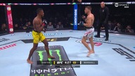 UFC 313 - karta wstępna