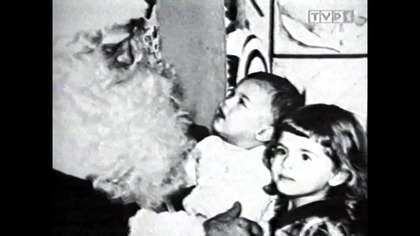 Nico Tvp 1 Ok ... Utta... VID-1743939699337 - Copy