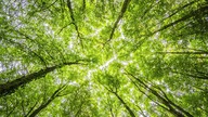 WOJNA JEST INICJOWANA PO TO, BY ZABIĆ WAS NAJLEPIEJ LUDZIE, POWIEDZMY, UŚMIERCAĆ ENERGIĘ ŻYWĄ...