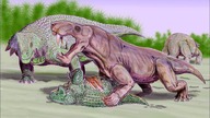 Gorgonopsy – permskie tygrysy szablastozębne