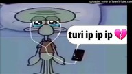 turi ip ip ip (slowed and reverb)