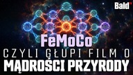 FeMoCo  NIEWYJAŚNIONY MECHANIZM NATURY, KTÓRY ZMIENI NASZĄ ŻYWNOŚĆ.  CO UKRYWAJĄ GIGANCI?