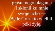 Świadectwo Kamil