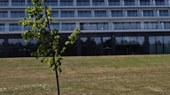 Hotel Gołębiewski w Poborowe