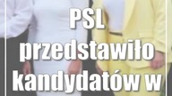 PSL przedstawiło kandydatów w wyborach do Sejmu