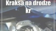 Kraksa na drodze krajowej nr 19.  W wypadku ucierpiały dzieci