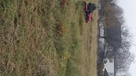 Mój dziadek jeździ na mojej kosiarce