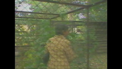 Polskie Zoo..VID-1719679265256 (2) (1)