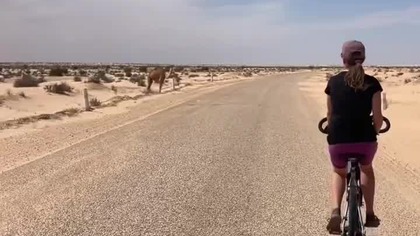 Rowerem po Saharze #travel #tunezja #bicycle #rower #afryka #desert #podr&oacute;że #wakacje #automobile