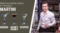 Jak zrobić Martini - Gibson, Vesper, Hanky Panky | Klasyczne drinki z ginem