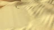 110 - Shakashuri Blowdown (with fanmentary)