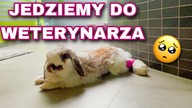 ŻULIK MA ROPNIA :(