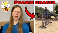 CO TU SIĘ... ?! reguję na śmieszne, szokujące, urocze końskie tik toki 