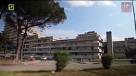 Camorra Historia Mafii Neapolitańskiej