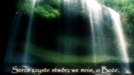 Świadectwo - Zygmunt Krzywodajc