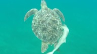 Ekspedycja Nautilus