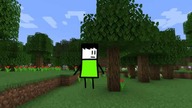 Minecraft Speedrun