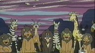 Kimba - biały lew