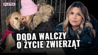 Doda wzięła się do roboty.  Dtworzyła Hot As Ice Challenge | Plotek