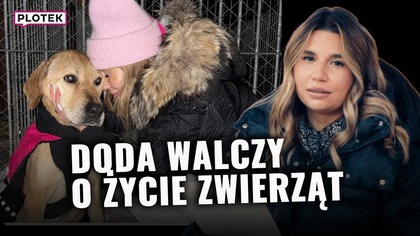 Doda wzięła się do roboty.  Dtworzyła Hot As Ice Challenge | Plotek