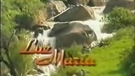 020 - Luz Maria