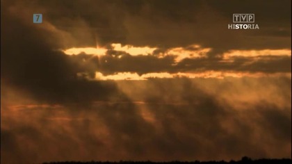 Trzcinica karpacka Troja