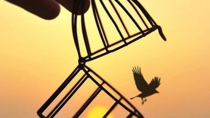 Dawid Biliński - świadectwo