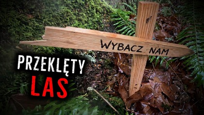 BARDZO Niepokojące Nagrania z Lasów i Kempingów