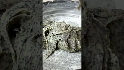 Proste ciasto z makiem #shorts #smakowitedania #gotowanie #recipe #pyszne #food #cooking #przepis